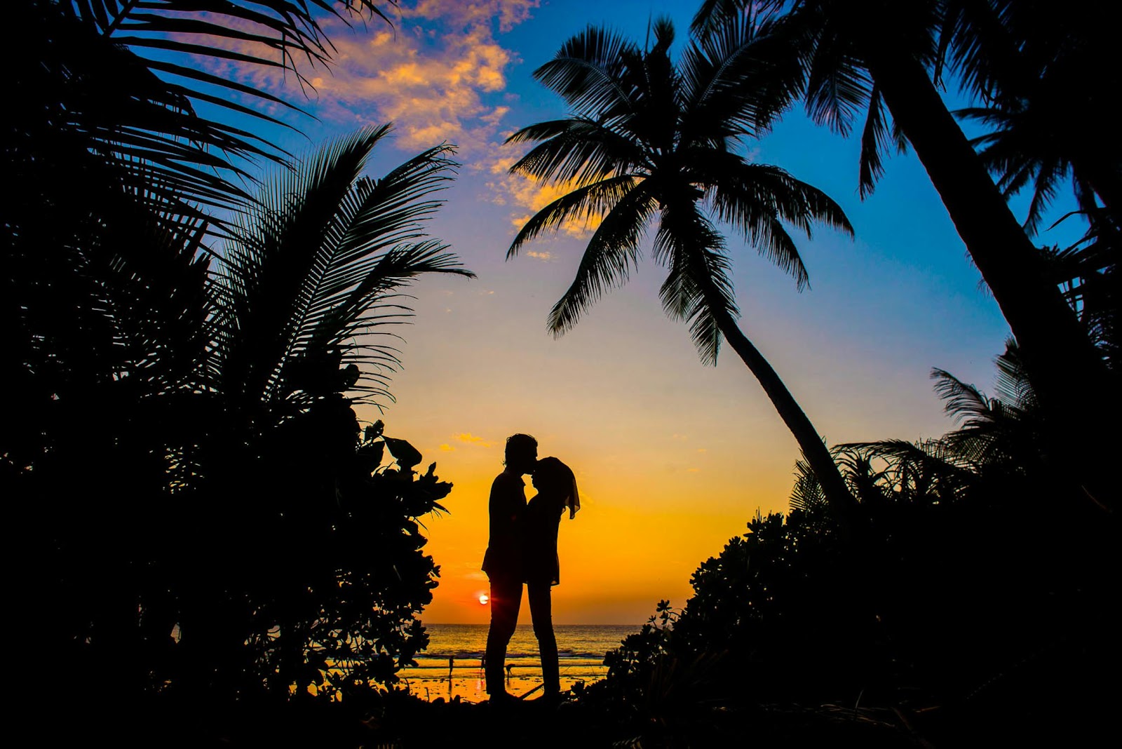 Top dating sites in New York​